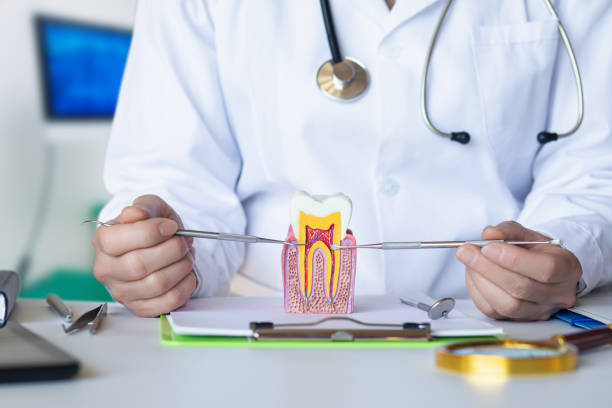 Best Emergency Tooth Extraction in Kimberling City, MO